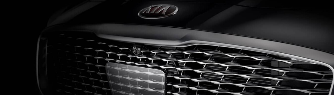 2019 Kia K900 Grill 2019 Kia K900 Grill