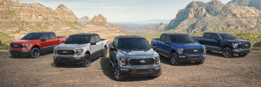 Five Ford-F150s are parked near the Grand Canyon.