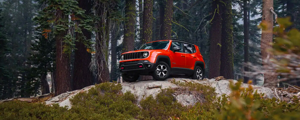 2021 Jeep Renegade 2021 Jeep Renegade
