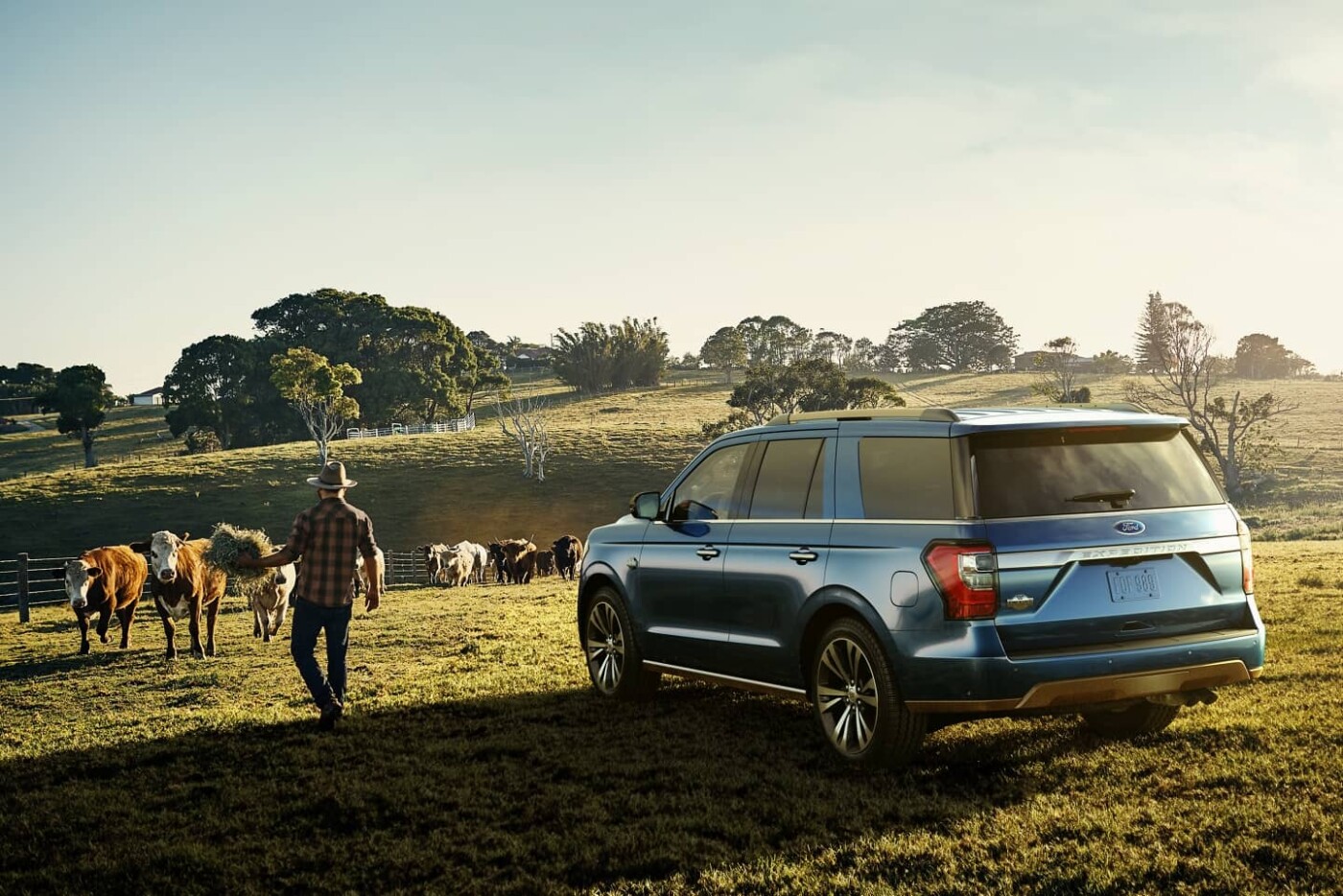  Ford Expedition