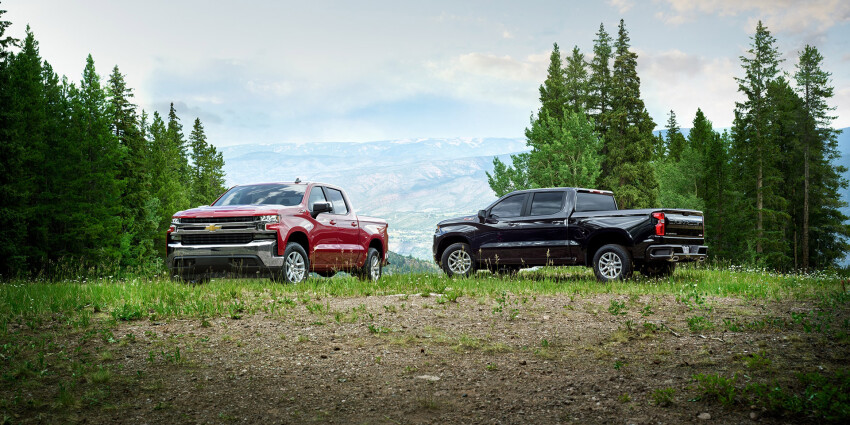 2020 Chevrolet Silverado 1500 2020 Chevrolet Silverado 1500 trucks parked in the grass