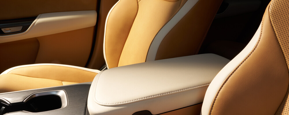 2026 Lexus RZ Interior 2026 Lexus RZ Interior