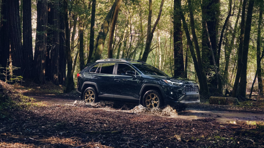 2025 Toyota RAV4