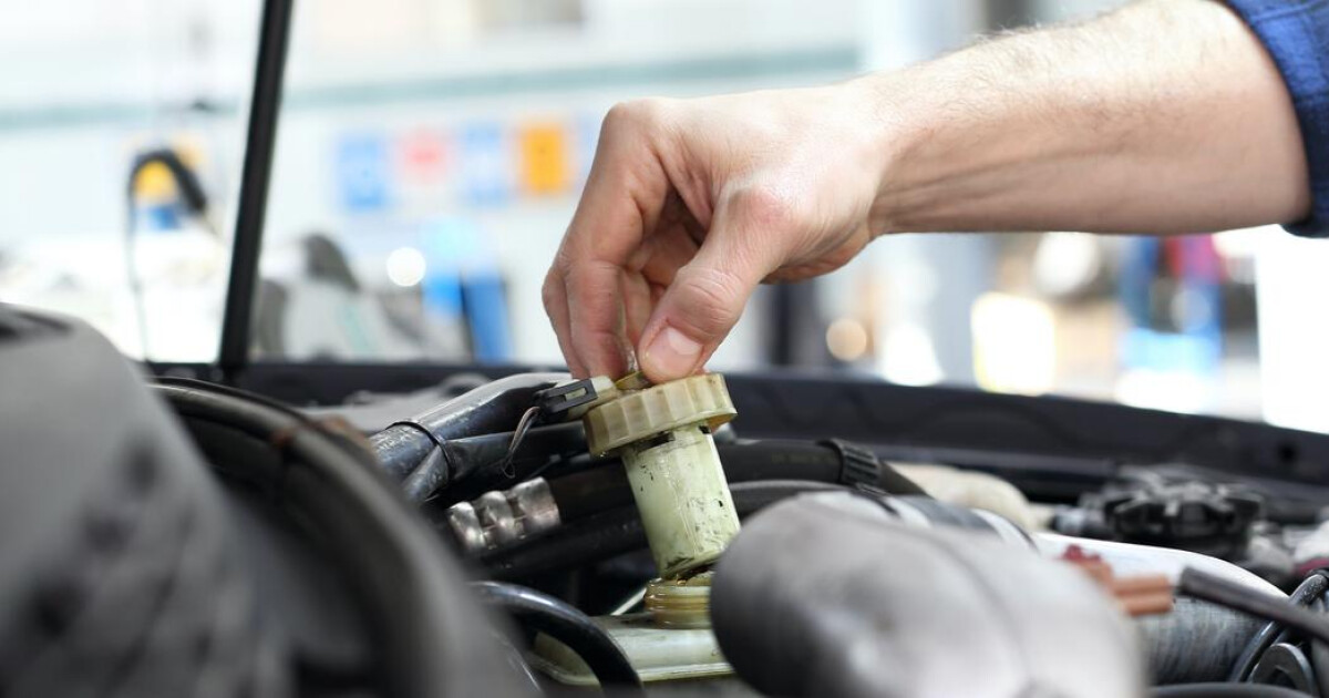 Mechanic checking brake fluid