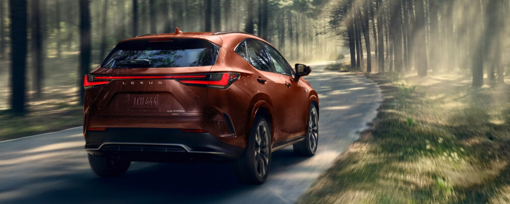2025 Lexus NX Driving in Woods