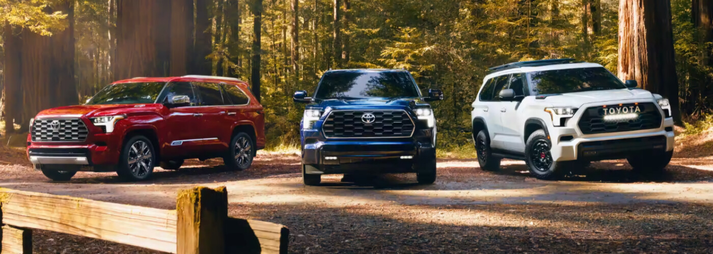 2023 Toyota Sequoia Colors in forest