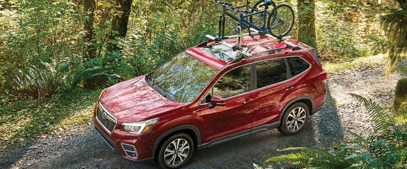 2019 Subaru Forester Carrying Bikes