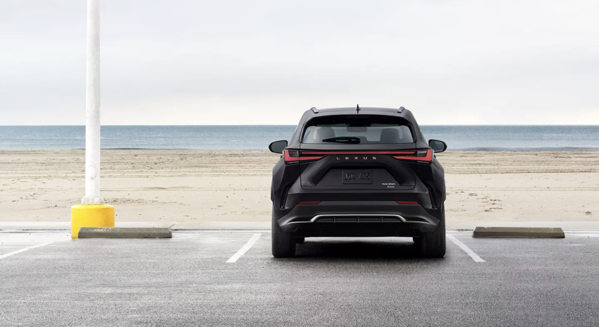 Black 2026 Lexus NX at the beach