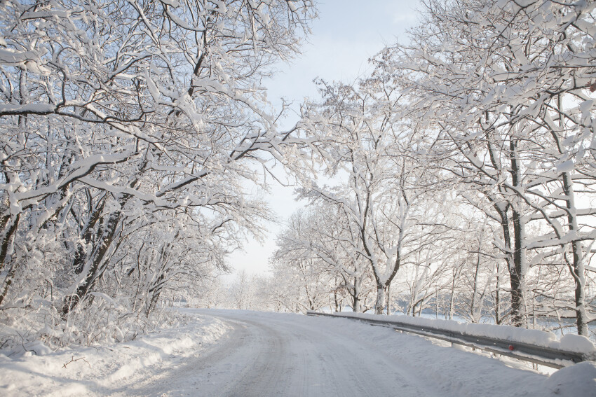 Winter Road