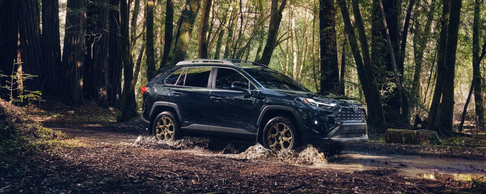 2025 Toyota RAV4