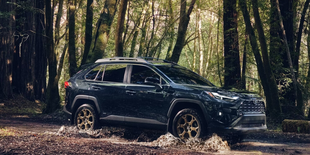 2026 Blue Toyota RAV4 driving through woods