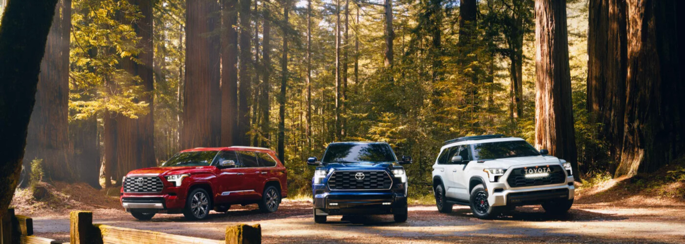 2026 Toyota Sequoia lineup