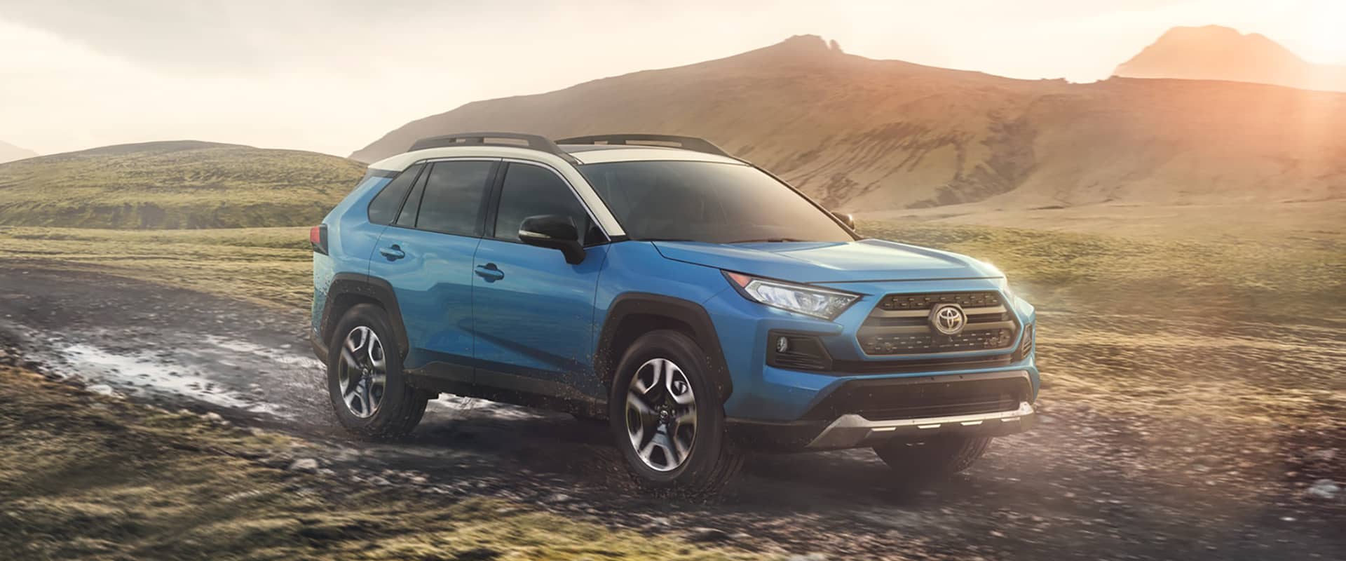 2019 Toyota RAV4 Parked