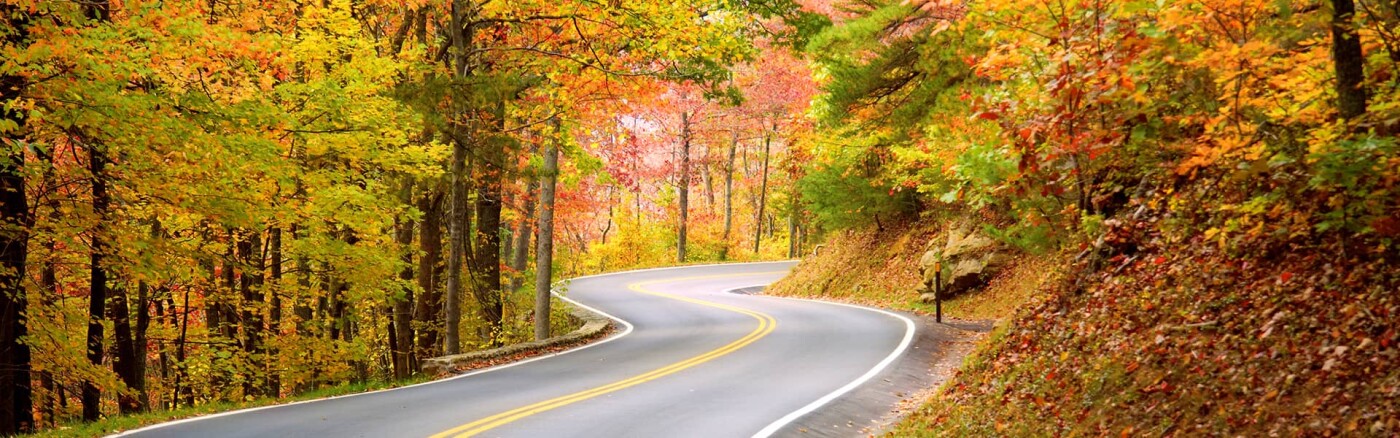 Winding Autumn Road Winding Autumn Road