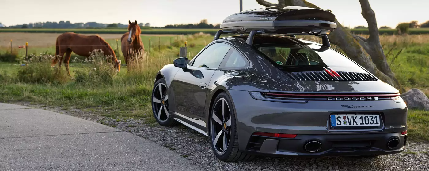 Porsche Parked in front of horses