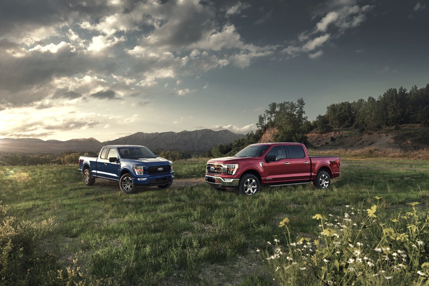 2021 Ford F-150